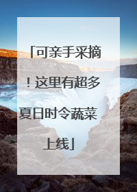 可亲手采摘！这里有超多夏日时令蔬菜上线