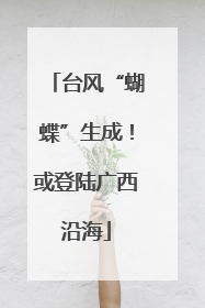 台风“蝴蝶”生成！或登陆广西沿海