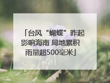 台风“蝴蝶”昨起影响海南 局地累积雨量超500毫米