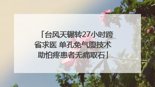 台风天辗转27小时跨省求医 单孔免气腹技术助怕疼患者无痛取石
