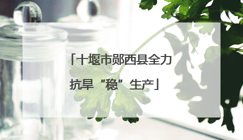 十堰市郧西县全力抗旱“稳”生产