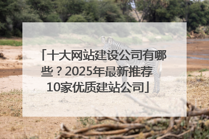 十大网站建设公司有哪些？2025年最新推荐10家优质建站公司