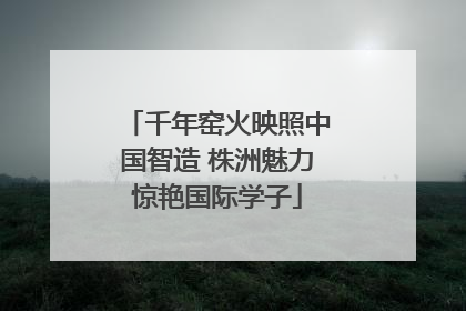 千年窑火映照中国智造 株洲魅力惊艳国际学子