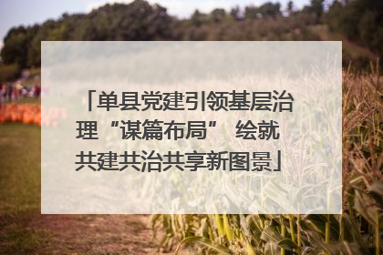 单县党建引领基层治理“谋篇布局” 绘就共建共治共享新图景