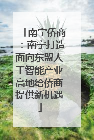 南宁侨商：南宁打造面向东盟人工智能产业高地给侨商提供新机遇