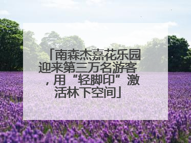 南森杰嘉花乐园迎来第三万名游客，用“轻脚印”激活林下空间