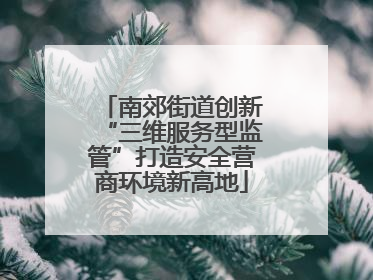 南郊街道创新“三维服务型监管”打造安全营商环境新高地