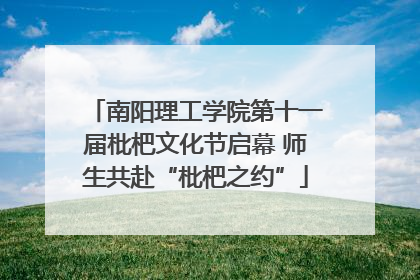 南阳理工学院第十一届枇杷文化节启幕 师生共赴“枇杷之约”
