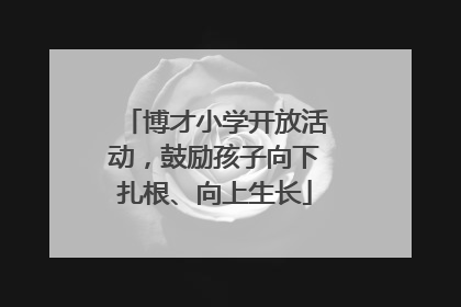 博才小学开放活动，鼓励孩子向下扎根、向上生长