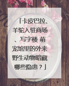 卡皮巴拉、羊驼入驻商场、写字楼 萌宠馆里的外来野生动物暗藏哪些隐患？