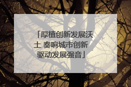 厚植创新发展沃土 奏响城市创新驱动发展强音