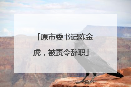 原市委书记陈金虎，被责令辞职