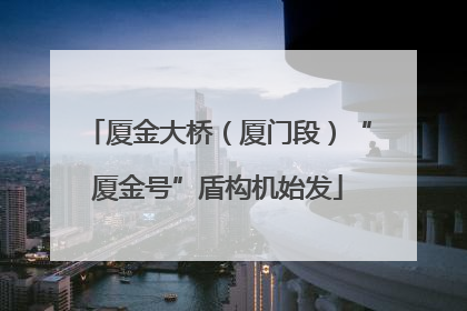厦金大桥（厦门段）“厦金号”盾构机始发
