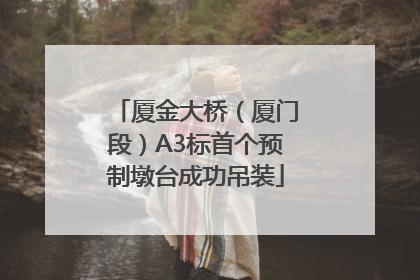 厦金大桥（厦门段）A3标首个预制墩台成功吊装