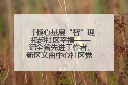 倾心基层“智”理 托起社区幸福——记全省先进工作者、新区文曲中心社区党委书记董世弘
