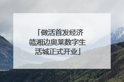 做活首发经济 赣湘边奥莱数字生活城正式开业