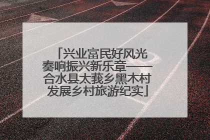 兴业富民好风光 奏响振兴新乐章——合水县太莪乡黑木村发展乡村旅游纪实