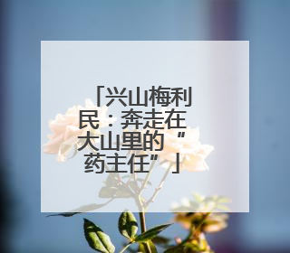 兴山梅利民：奔走在大山里的“药主任”