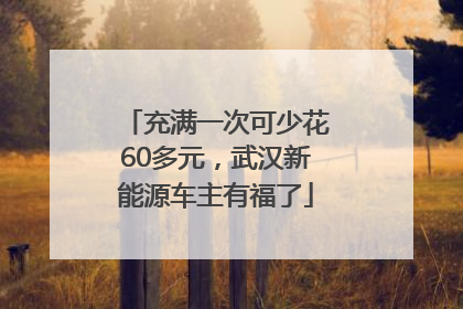 充满一次可少花60多元，武汉新能源车主有福了