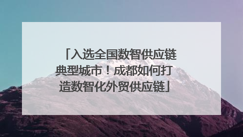 入选全国数智供应链典型城市！成都如何打造数智化外贸供应链