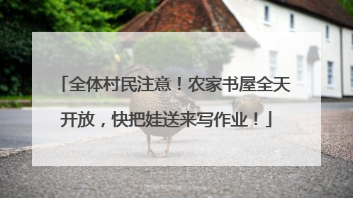 全体村民注意！农家书屋全天开放，快把娃送来写作业！