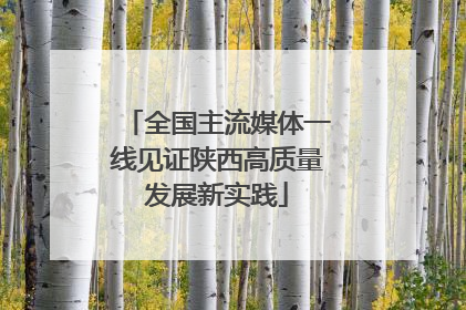 全国主流媒体一线见证陕西高质量发展新实践