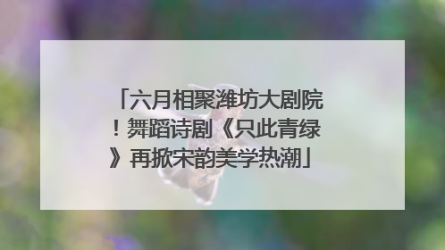 六月相聚潍坊大剧院！舞蹈诗剧《只此青绿》再掀宋韵美学热潮