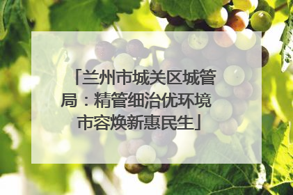 兰州市城关区城管局：精管细治优环境 市容焕新惠民生