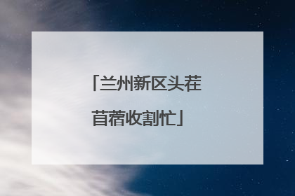 兰州新区头茬苜蓿收割忙