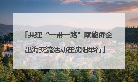 共建“一带一路”赋能侨企出海交流活动在沈阳举行