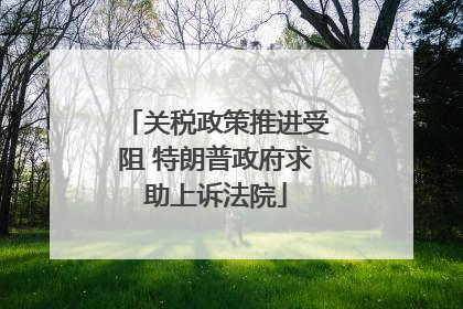关税政策推进受阻 特朗普政府求助上诉法院