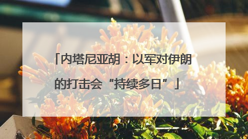 内塔尼亚胡：以军对伊朗的打击会“持续多日”