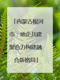 内蒙古根河市：地企共建聚合力构建融合新格局
