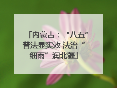 内蒙古：“八五”普法显实效 法治“细雨”润北疆