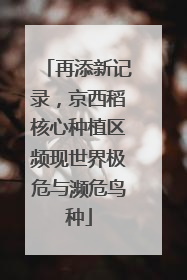 再添新记录，京西稻核心种植区频现世界极危与濒危鸟种