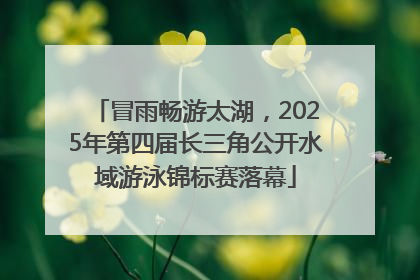 冒雨畅游太湖，2025年第四届长三角公开水域游泳锦标赛落幕