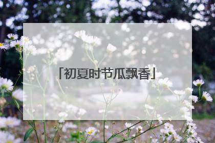 初夏时节瓜飘香
