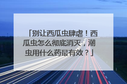 别让西瓜虫肆虐！西瓜虫怎么彻底消灭，潮虫用什么药最有效？