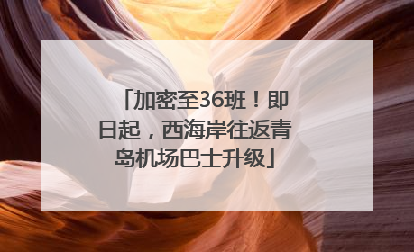 加密至36班！即日起，西海岸往返青岛机场巴士升级