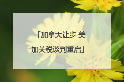 加拿大让步 美加关税谈判重启