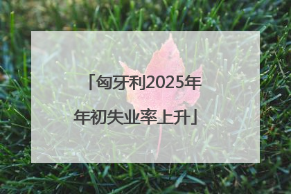 匈牙利2025年年初失业率上升