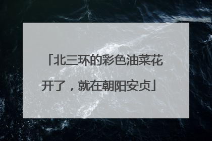 北三环的彩色油菜花开了，就在朝阳安贞