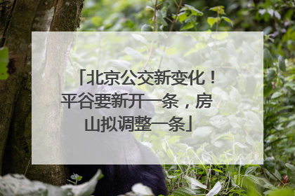 北京公交新变化！平谷要新开一条，房山拟调整一条