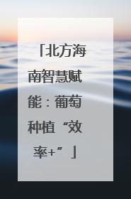 北方海南智慧赋能：葡萄种植“效率+”