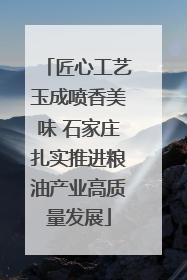 匠心工艺玉成喷香美味 石家庄扎实推进粮油产业高质量发展