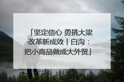 坚定信心 勇挑大梁·改革新成效丨白沟：把小商品做成大外贸