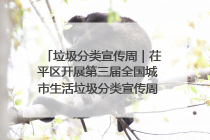 垃圾分类宣传周｜茌平区开展第三届全国城市生活垃圾分类宣传周系列活动之垃圾分类基层专题培训活动