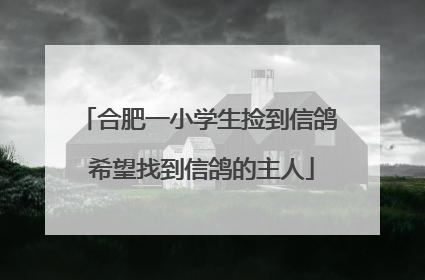 合肥一小学生捡到信鸽 希望找到信鸽的主人