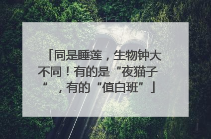 同是睡莲，生物钟大不同！有的是“夜猫子”，有的“值白班”