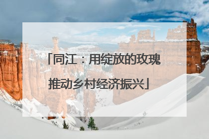 同江：用绽放的玫瑰 推动乡村经济振兴